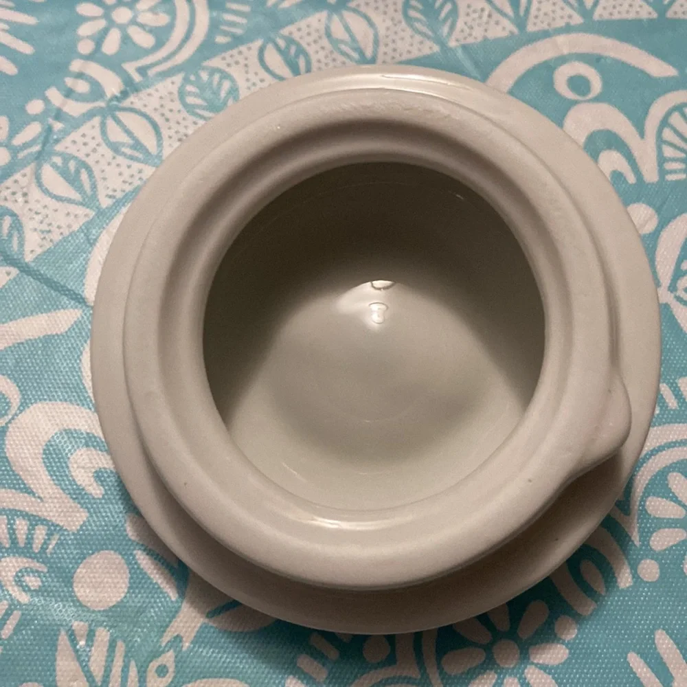 Pier 1 teapot ☕️